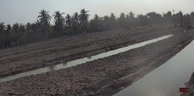 ขายที่ดินแปดริ้ว คลองเขื่อน ฉะเชิงเทรา  รูปที่ 4