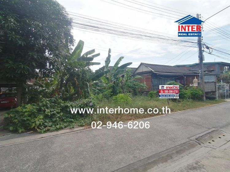 ไม่ใช่ ที่ดินเปล่า 105 ตร.ว. ที่ดินเปล่า ซอยวัดบางกุฏีทอง ถนนติวานนท์ ถนนบางกุฏีทอง เมืองปทุมธานี ปทุมธานี รูปที่ 3