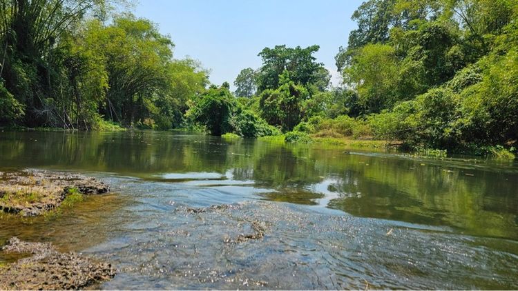 ขายที่ดินติดแม่น้ำสวยมาก ทำเลดีริมแม่น้ำเพชรบุรี โฉนดครุฑแดง 13 ไร่ ฟรี ที่งอก 4 ไร่กว่า รูปที่ 4