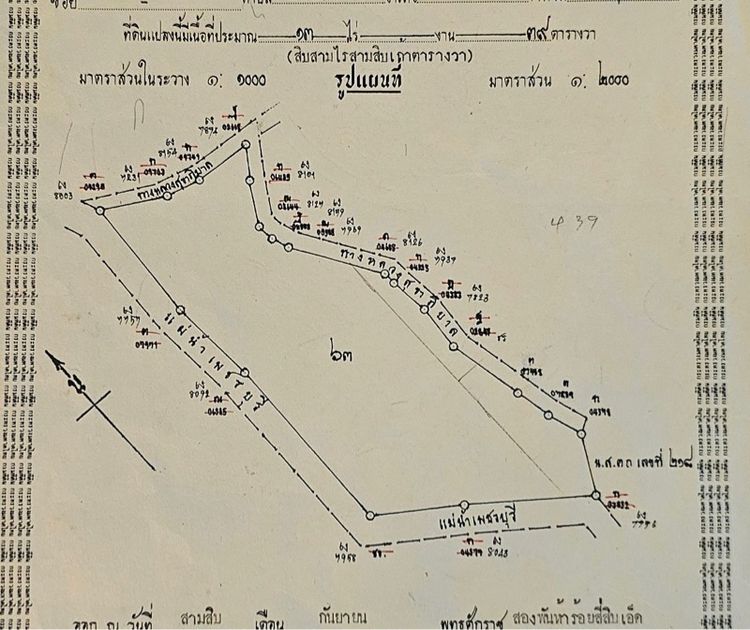 ขายที่ดินติดแม่น้ำสวยมาก ทำเลดีริมแม่น้ำเพชรบุรี โฉนดครุฑแดง 13 ไร่ ฟรี ที่งอก 4 ไร่กว่า รูปที่ 3