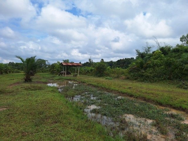 ไม่ใช่ ขายถูกที่ดินโฉนดนครพนม รูปที่ 4