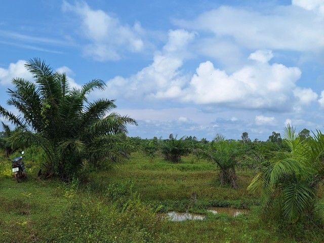 ขายถูกที่ดินโฉนดนครพนม