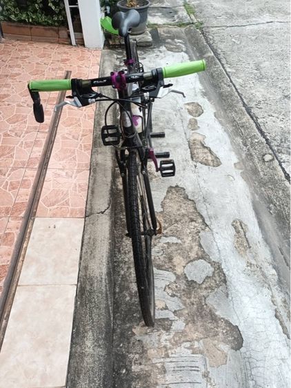 Fuji Absolute S size M รูปที่ 5