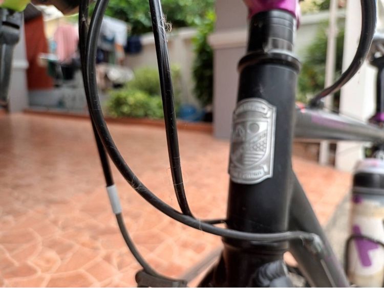 Fuji Absolute S size M รูปที่ 3