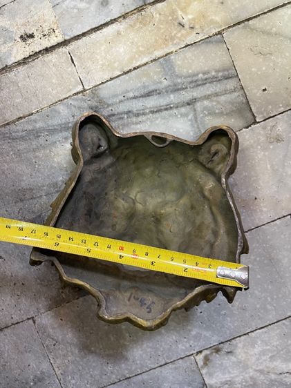 เสือทองเหลือง สะสม รูปที่ 7