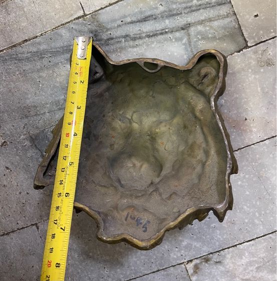 เสือทองเหลือง สะสม รูปที่ 8