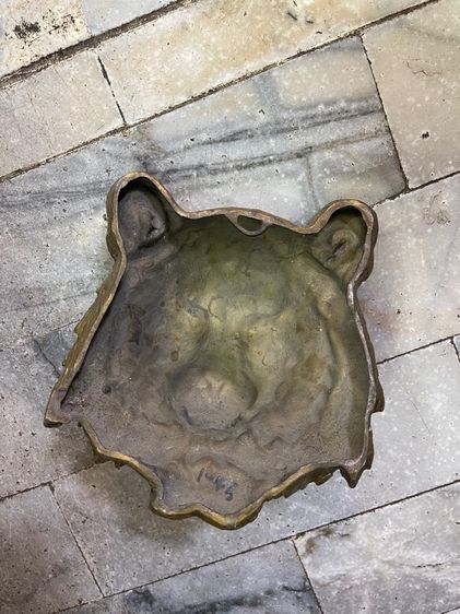 เสือทองเหลือง สะสม รูปที่ 5