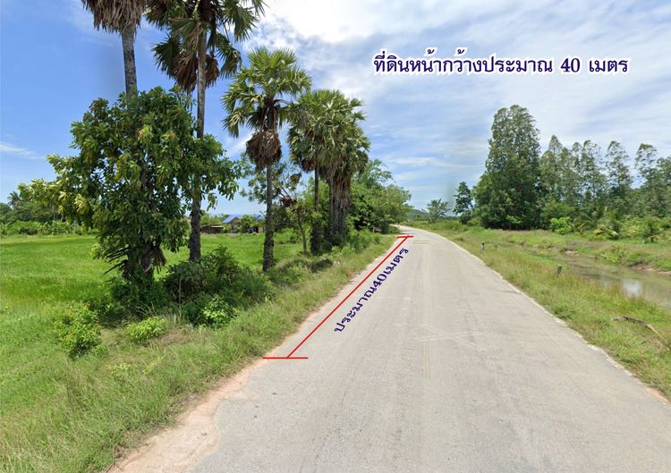 ที่ดินราชบุรี เขาขลุง รูปที่ 4