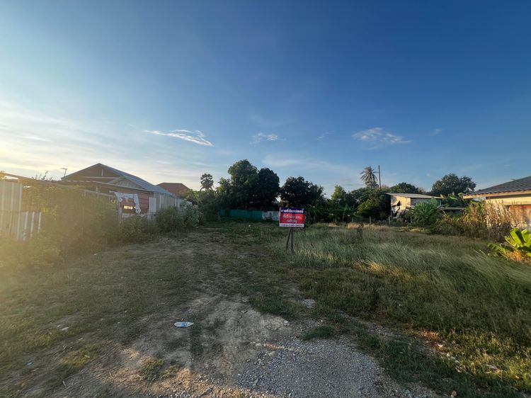 ไม่ใช่ ที่ดินนครปฐม(วังตะกู)ถนนมาลัยแมน รูปที่ 4