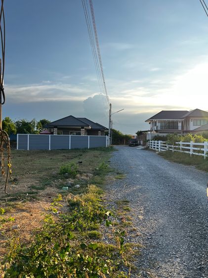 ไม่ใช่ ที่ดินนครปฐม(วังตะกู)ถนนมาลัยแมน รูปที่ 2