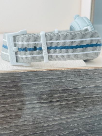 Swatch x Blancpain Arctic Ocean รูปที่ 8