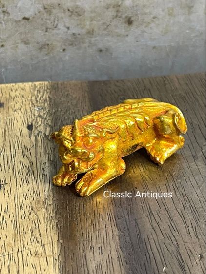 สิงห์ กระไหล่ทอง สะสม รูปที่ 8