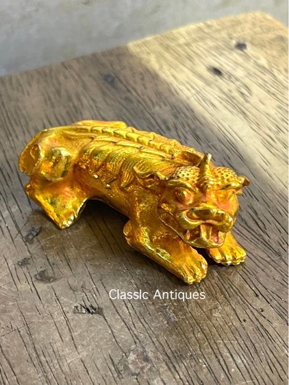 สิงห์ กระไหล่ทอง สะสม รูปที่ 6