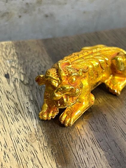 สิงห์ กระไหล่ทอง สะสม รูปที่ 9