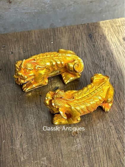 สิงห์ กระไหล่ทอง สะสม รูปที่ 3