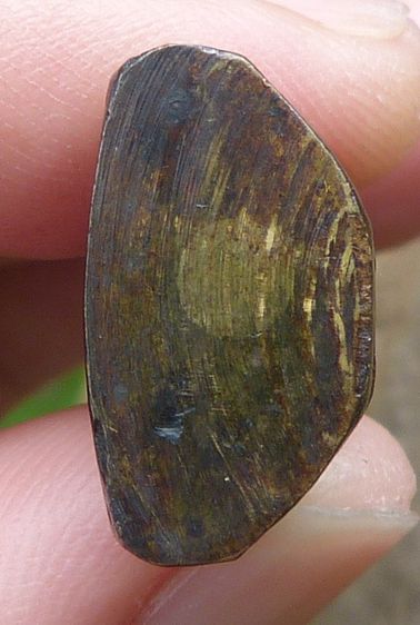 พระกริ่งหลวงพ่อเงิน วัดท้ายน้ำ รูปที่ 3