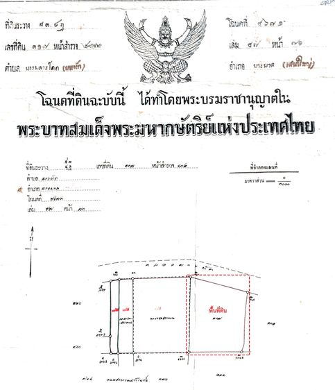ขายที่ดินสวยๆ ติดถนน อำเภอบางบาล ตำบลบางหลวงโดด จังหวัดพระนครศรีอยุธยา รูปที่ 2