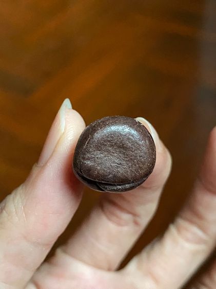 พระปิดตาหลวงพ่อแก้ววัดปากทะเล รูปที่ 5