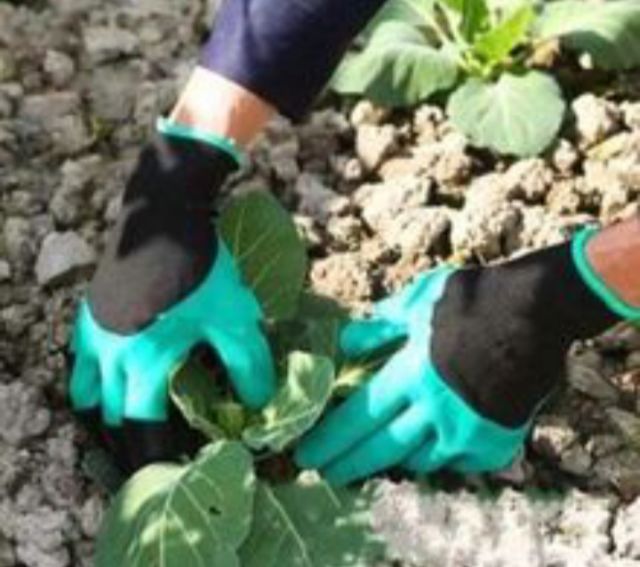 ถุงมือขุดดิน  รูปที่ 4