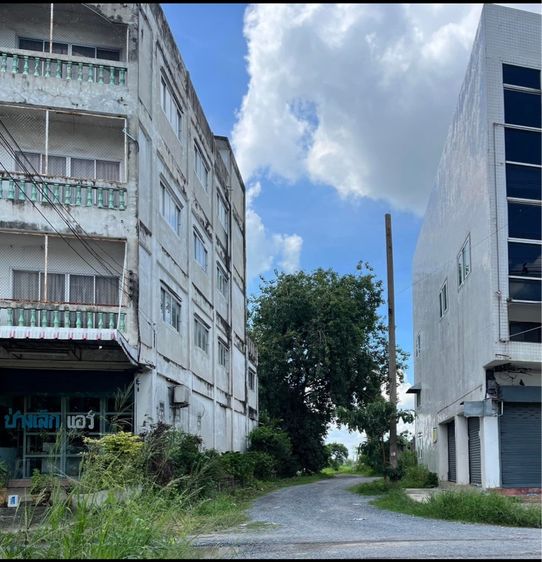   🌿📣 ขายที่ดินบึงสนั่น ธัญบุรี 1 ไร่ 3 งาน 70 ตร.วา (รวม 670 ตร.วา) ราคา 3.2ล้าน‼️ รูปที่ 2