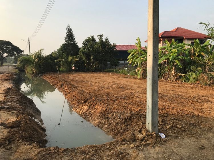 ที่ดินเปล่า 125 ตรว ลำพูน รูปที่ 4