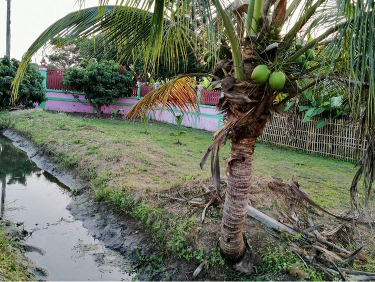 ที่ดินเปล่า 125 ตรว ลำพูน