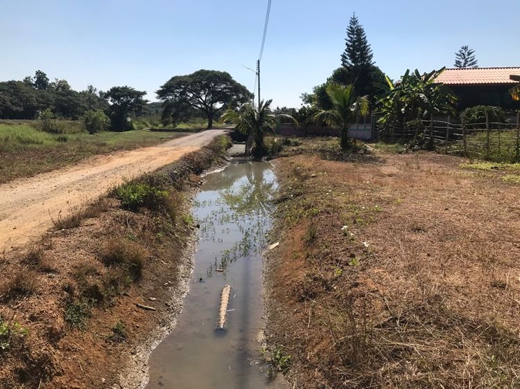 ที่ดินเปล่า 125 ตรว ลำพูน รูปที่ 3