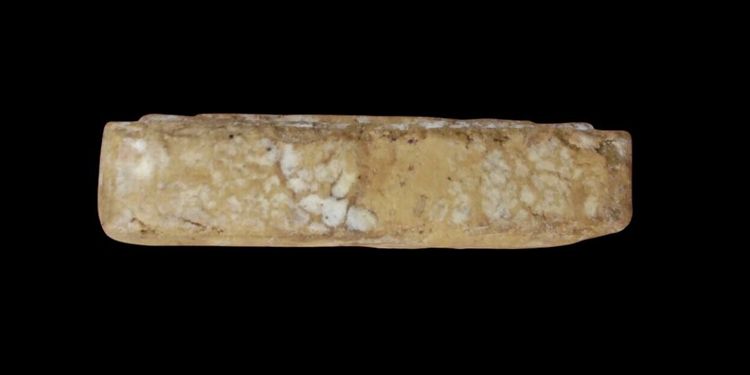 พระสมเด็จปรกโพธิ์ 5 ไตรมาส หลวงปู่โต๊ะ วัดประดู่ฉิมพลี ปี 2518 รูปที่ 5