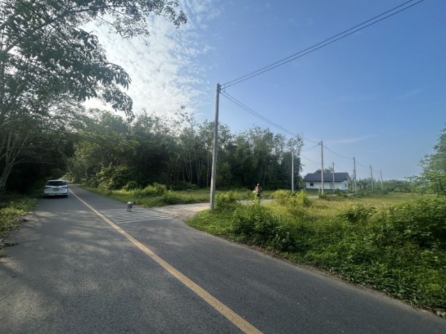 พื้นที่น้ำไม่ท่วม 
ขายที่ดินใกล้สนามบิน 
ม่วงค่อม ควนลัง  รูปที่ 2