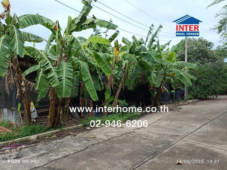 ที่ดินเปล่า 391 ตร.ว. หมู่บ้านทองธัชการ ถนนศูนย์ราชการตัดใหม่ ถนนเพชรเกษม ถนนบ้านแพ้ว เมืองนครปฐม นครปฐม รูปที่ 2