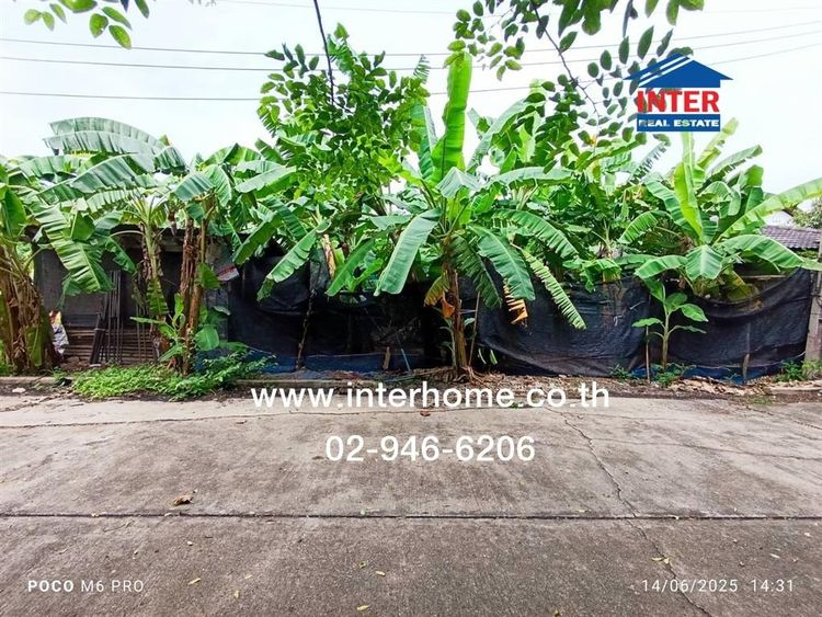 ที่ดินเปล่า 391 ตร.ว. หมู่บ้านทองธัชการ ถนนศูนย์ราชการตัดใหม่ ถนนเพชรเกษม ถนนบ้านแพ้ว เมืองนครปฐม นครปฐม รูปที่ 3