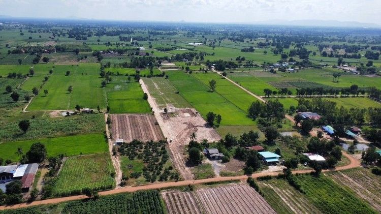 ไม่ใช่ ขายถูกมากที่ดินโฉนดไร่ละ220,000 รูปที่ 2