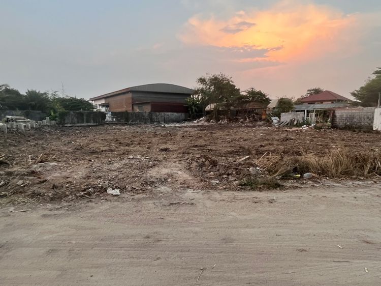 ใช่ ขายที่ดิน อ.พุทธมลฑล ต.มหาสวัสดิ์ ซอยยิ่งเจริญ (ศาลเจ้ากวนอู) มหาสวัสดิ์ 4  จ.นครปฐม 