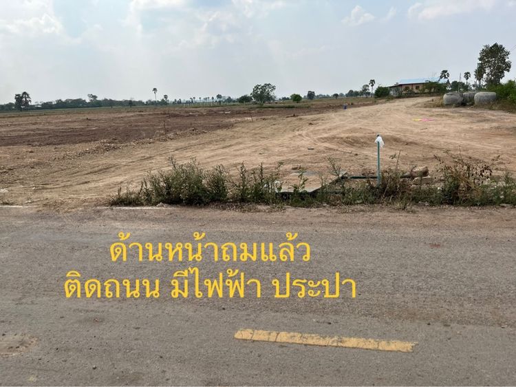 ใช่ ขายที่ดินในชุมชนบ้านโนนไทรโยง ใกล้ตลาดโคกสวาย อ.พระทองคำ (อ.โนนไทย)จ.นครราชสีมา (เจ้าของขายเอง) รูปที่ 3