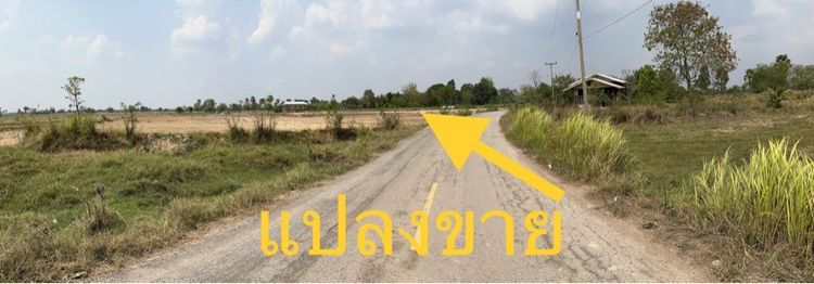ใช่ ขายที่ดินในชุมชนบ้านโนนไทรโยง ใกล้ตลาดโคกสวาย อ.พระทองคำ (อ.โนนไทย)จ.นครราชสีมา (เจ้าของขายเอง) รูปที่ 4