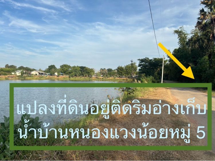 ขายที่ดินบ้านหนองแวงน้อย ตลาด.หนองแวง อ.บ้านใหม่ชัยพจน์ จ.บุรีรัมย์ (เจ้าของขายเอง)