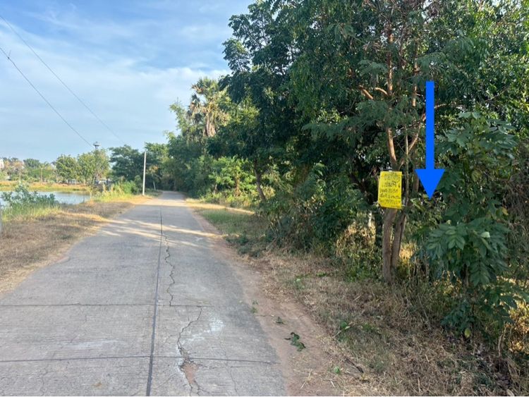 ใช่ ขายที่ดินบ้านหนองแวงน้อย ตลาด.หนองแวง อ.บ้านใหม่ชัยพจน์ จ.บุรีรัมย์ (เจ้าของขายเอง) รูปที่ 3