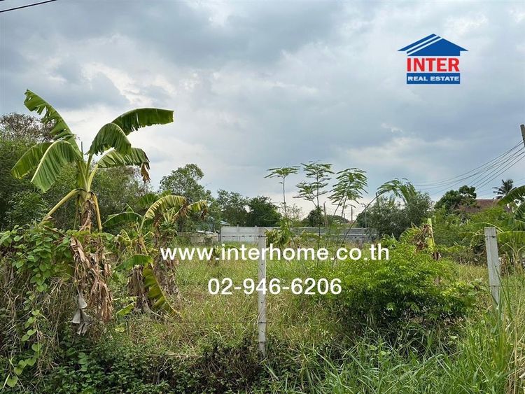 ไม่ใช่ ที่ดินเปล่า 140 ตร.ว. หมู่บ้านชัชฎาวิลล่า ถนนพุทธมณฑลสาย3 ถนนบางแวก เขตภาษีเจริญ กรุงเทพมหานคร รูปที่ 4