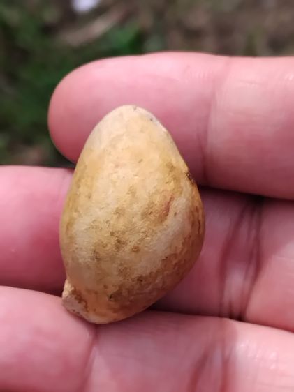 คตผลไม้ กลายเป็นหิน ผิวสีเทาอมน้ำตาล ขนาด 3 ซม กลมมนรี ผิวแห้งเหี่ยว มีรอยเด็ดจากขั่วให้เห็น มีน้ำหนัก เก่า แท้ แปลก หายาก พุทธคุณโดดเด่นทาง รูปที่ 7