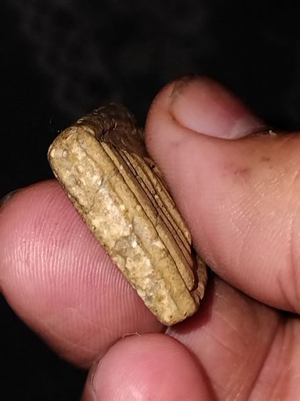 พระสมเด็จ พิมพ์ใหญ่ วัดระฆัง หลังอย่างสวย เนื้อผง เนื้อเน่า แกร่ง แห้ง เหยี่ยว ยุบ ย่น เนื้อจัด มีมวลสารลอย ขอบไม่มีรอยคมมือ เก่ามากถึงยุค ส รูปที่ 5