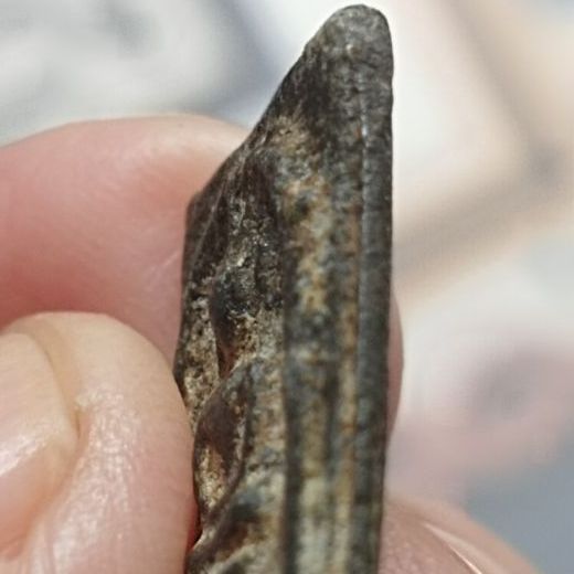 สมเด็จคะแนนเนื้อชินเขียวหลวงพ่อวงษ์ปี๒๔๗๐ รูปที่ 9