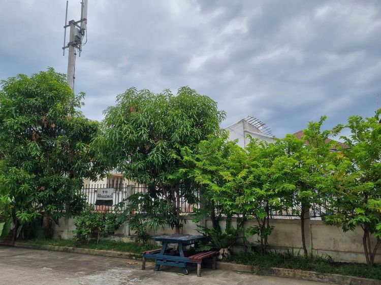 ที่ดิน เชียงใหม่ หางดง 73 ตร.วา รูปที่ 3