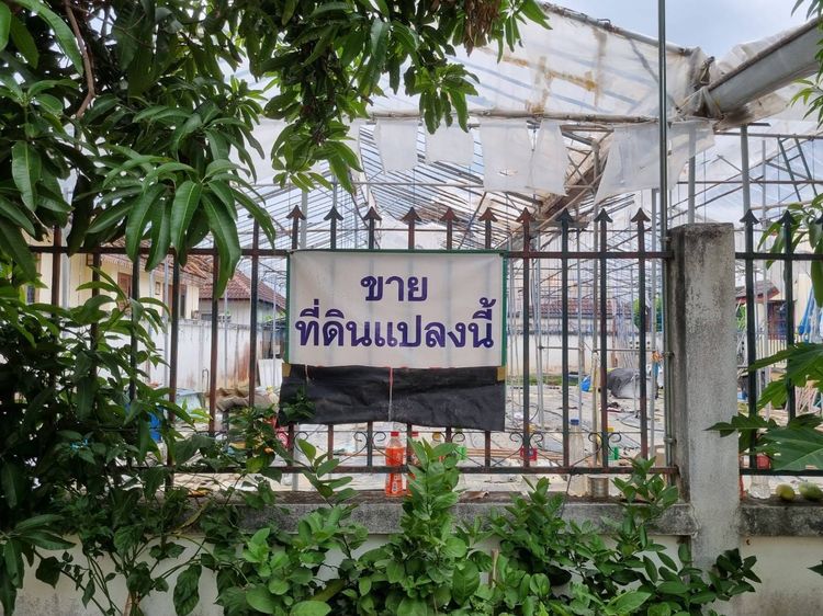 ที่ดิน เชียงใหม่ หางดง 73 ตร.วา