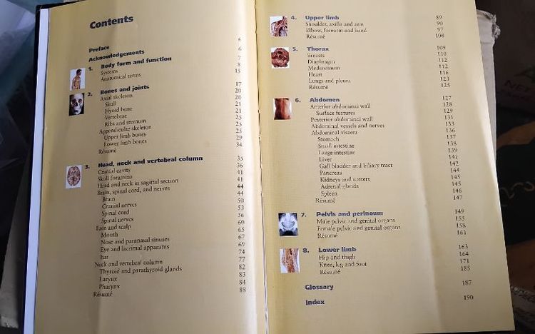 หนังสือ Anatomy รูปที่ 3