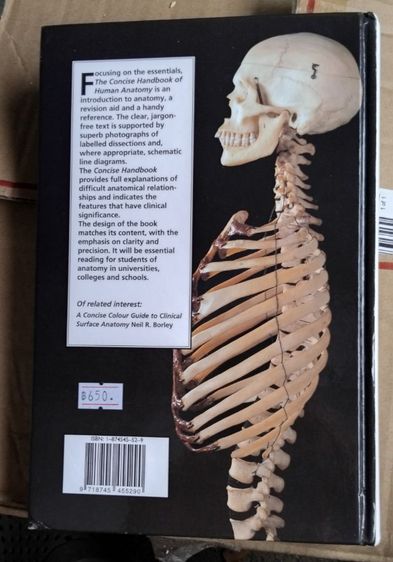 หนังสือ Anatomy รูปที่ 2