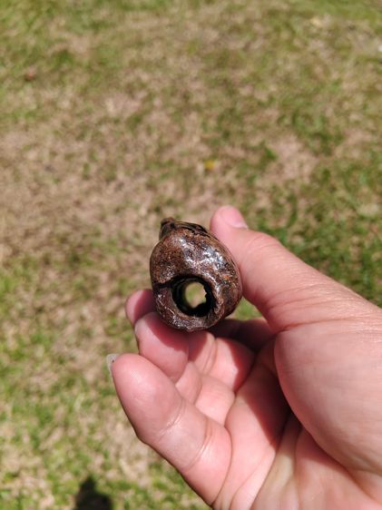 ตะกรุด จารมือ เนื้อผง ผิวสีน้ำตาลเข้ม ขนาด 4 นิ้ว ผิวมัน แห้งเหี่ยว แข็ง มีน้ำหนัก เก่า แท้ แปลก หายาก ไม่รู้ที่  พุทธคุณโดดเด่นทางด้าน เมตต รูปที่ 5