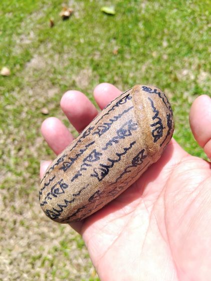 ปลักขิก จารมือทั้งตัว เนื้อหิน ผิวสีน้ำตาล ขนาดประมาณ 4 นิ้ว ผิวมัน แห้งเหี่ยว แข็ง มีน้ำหนักมาก ตัวอ้วนใหญ่ เก่า แท้ แปลก หายาก ไม่รู้ที่   รูปที่ 2