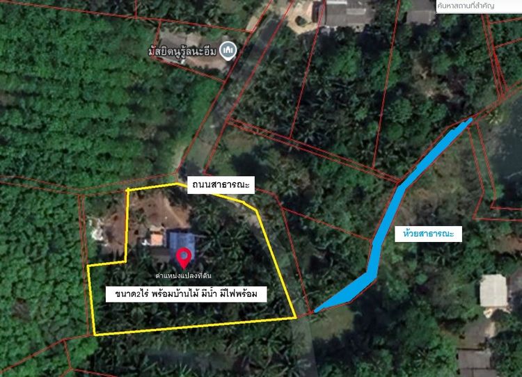 ขายด่วนที่ดินตรัง บางเป้า พร้อมบ้านไม้