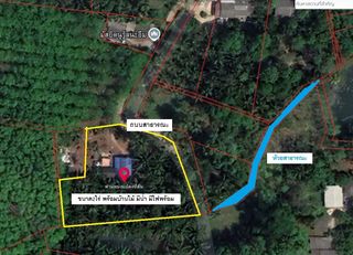 ขายด่วนที่ดินตรัง บางเป้า พร้อมบ้านไม้