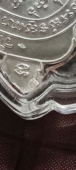 เต่าหลวงปู่หลิว รูปที่ 12